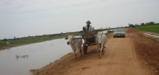 Les transports alternatifs