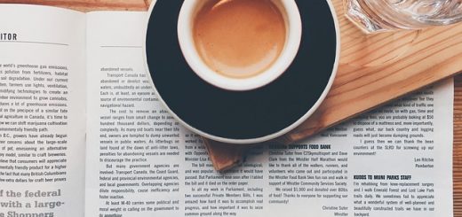 Newsletter petit dej