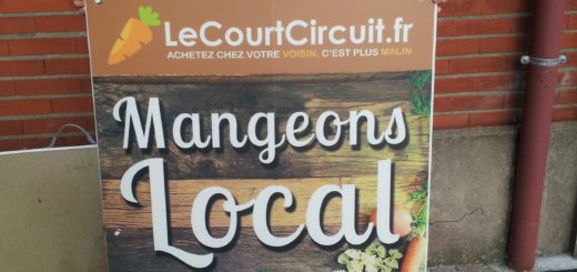 Court-circuit