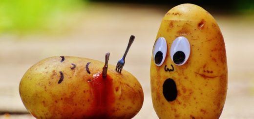 Gaspillage alimentation