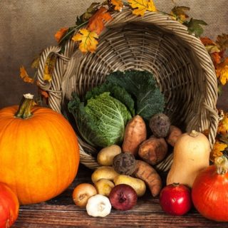 conservation aliments