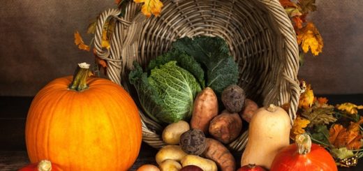 conservation aliments
