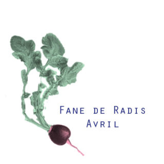 fane de radis avril